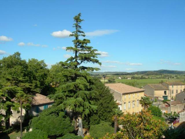 Chambres D'Hotes Le Clos De Venes Saint-Couat-dʼAude Екстериор снимка